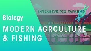 Modern Agriculture and Fishing | Environment | Biology | FuseSchool