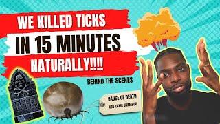 How to Kill Ticks on Dogs Naturally? We Killed Ticks in Less Than 15 Minutes! Behind The Scenes!