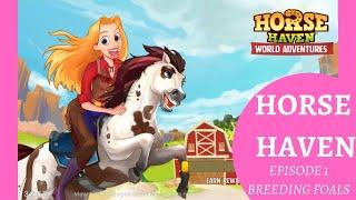 BREEDING FOALS and RACING! Episode 1!! Horse Haven