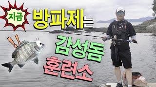 방파제 감성돔 낚시! 알고가면 백전백승 (경남고성군)