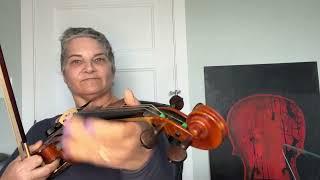 Day 109 - Sunset Polka - Patti Kusturok’s 366 Days of Fiddle Tunes