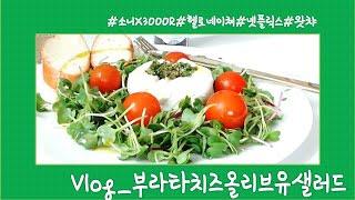 [vlog]세상에는건강한 밥과 덜 건강한 밥이 있다#헬로네이쳐#소니x3000#넷플릭스#왓챠