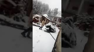 Vedic Pathshala snowfall