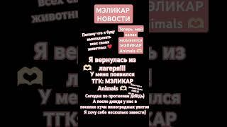 Мой ТГК: МЭЛИКАР Animals 🫶 #актив #рек #reptiles #подпишись #animals #тгк