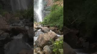 Mutyamdhara waterfalls #Mutyamdharawaterfall #veerabadraram #Telanganawaterfalls #Mulugudistric