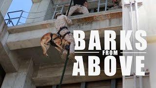 Barks From Above: Fast-Roping Military Dogs