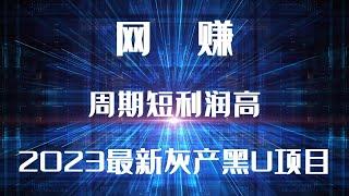 灰产黑U新项目火爆推出，网站操作流程演示，手机电脑均可操作，分分钟网赚千元