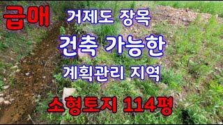 거제도 소형 토지 급매-장목면 농소리 건축 가능한 땅 매물, 주말농장 추천