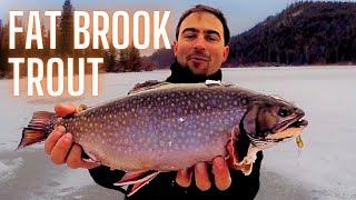 How to Catch Brook Trout Ice fishing