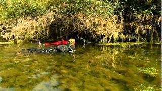 Living Rivers - Shaw TV Nanaimo Oceanside