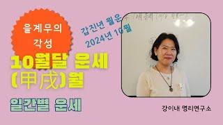 10월 운세_갑진년 갑술월 일간별 운세(10/8 한로~)