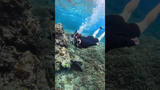 Meet the Lung Tank  #underwater #snorkeling #beach #ocean #watersports #diving