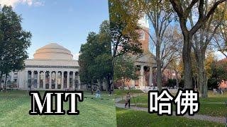 麻省理工学院和哈佛大学，哪个更值得去？