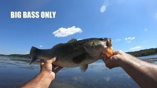 Potomac River Guide Catching BIG BASS