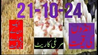 21-10-2024 broiler rate| Today egg rate |Today chicks price|Today poultry rate| today chicken rate