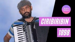 Ciribiribin - Alberto Pestalozza (1898) [Accordion]