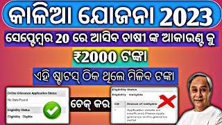 Kalia Yojana Eligibility Status | Kalia Yojana Ekyc | Kalia Yojana Money Transfer Date Odisha