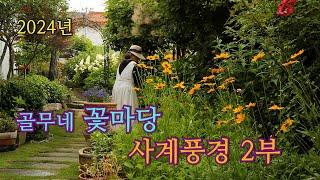 2024년 골무네 꽃마당의 아름다웠던 사계 2부.#등나무#클레마티스#삼색병꽃#버베나파라솔#작약#장미#델피늄