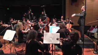 Bartok Divertimento 2nd mvt. Tel-Aviv Soloists/Barak Tal