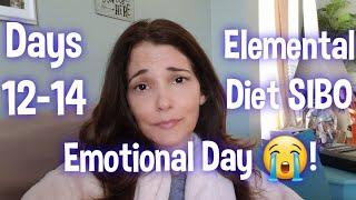 Elemental Diet for SIBO Diary Day 12-14 | Lisa Monoson