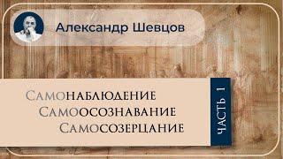 Самонаблюдение, самосозерцание и самоосознавание. Часть 1 | Александр Шевцов