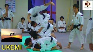 Shorinji Kempo (JAPAN) Ukemi (practice) with some tricks :)