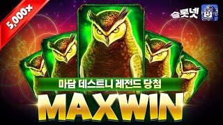 MaxWin[온라인슬롯][프라그마틱] 마담 데스티니 - Madame Destiny [슬롯실시간][슬롯사이트]