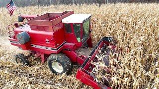 Combining Corn On A Small Farm! Harvesting Corn Just Like The Good Old Days! (2024 Harvest)