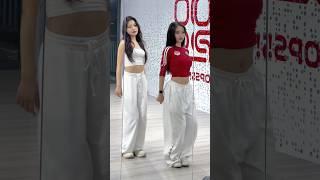 [ Tiktok Việt Nam ] Cắt đôi nỗi sầu bản nhảy gương | Thanh Lam x Khánh Linh