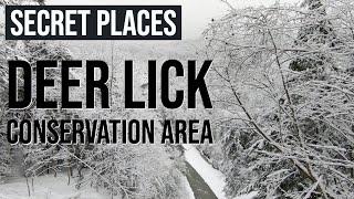 Secret Places: Deer Lick Conservation Area