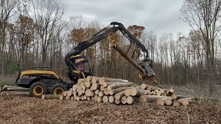 Logging with Ponsse Scorpion Giant, TigerCat 1165, leak on 534 head, daily maintenance on Scorpion