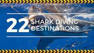 Top 22 Scuba Destinations for Shark Diving