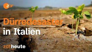 Italien leidet unter Wasserknappheit | auslandsjournal