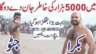 Javed Jatto Vs Achu Bakra 302 Open Kabaddi No 2 | Sheeshnag Vs Gandasa