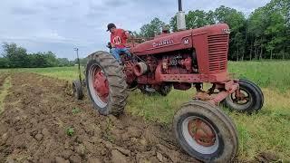 Farmall M Plowing with a Little Genius 3x14 Plow | Advice for TikTok Brain!