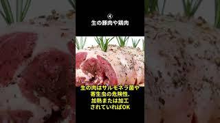 【"猫"に食べさせると危険な食材雑学】ペットの猫に関するいろいろな雑学 #猫     #動物雑学  #ペット #shorts