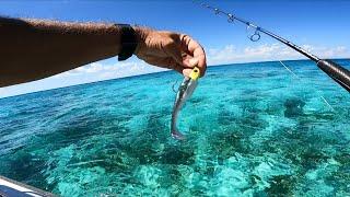 Patch Reef & Offshore Trolling in Key Largo! {Catch Clean Cook}