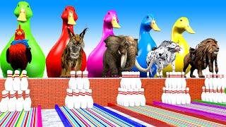 5 Giant Duck Cartoon,Cow,Elephent, Chicken,Lion, Cat Paint Wild Animals Crossing Fountain Animation