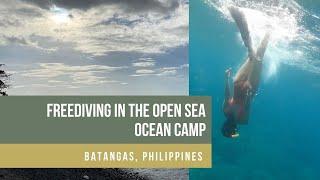 FREEDIVING IN THE OPEN SEA - OCEAN CAMP - MABINI, BATANGAS