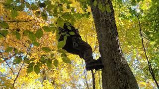 SRT Saddle hunting, in season scout climbing