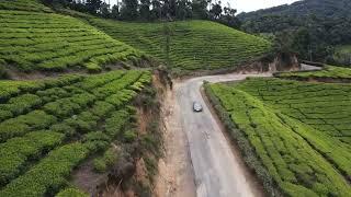 Munnar Hill Station - Kerala Road Trip 2022