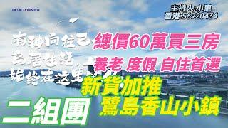 中山樓盤|港珠澳大橋|最強優惠時刻|89.-110平方精裝准現樓|磨刀島|鷺島香山小鎮睇樓團|深圳和珠海交匯處|#中山樓盤 #大灣區樓盤 #珠海樓盤 #深中通道