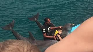 Ocean World Dominican Republic - Swimming With Dolphins - Puerto Plata