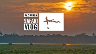 Kaziranga National Park Safari Video - Meet the Famous Four