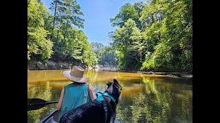 Bouie River Lower Blueway - Hattiesburg, MS