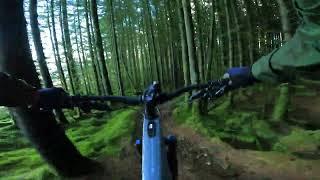 Glentress - SHANE MCGOWAN Black MTB Trail