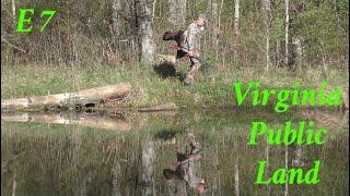 Virginia Spring Gobbler Hunting on George Washington National Forest 2023