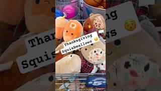 Cute #fivebelow #fivebelowshopping #plush #cutefinds #thanksgiving  #squishmallows #viral #shorts