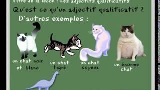 Leçon de français sur les adjectifs qualificatifs - pour les CP, CE1 - learn french