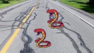 Riding Over Road Snakes- One of the "Engineered Obstacle"